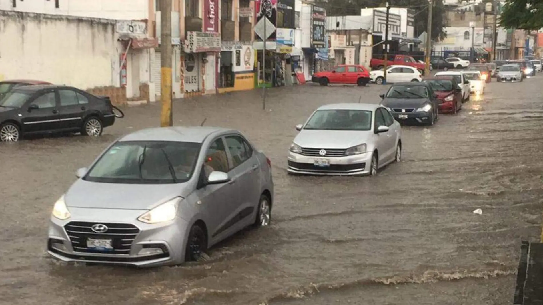 Las fuertes lluvias registradas esta tarde en la capital poblana dejaron como saldo 11 inundaciones en vialidades, un árbol caído y cuatro autos varados